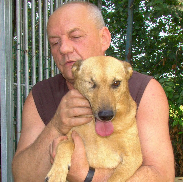Tadeusz Frasunek z miejskiej straży przychodzi do uratowanego psa także po służbie
