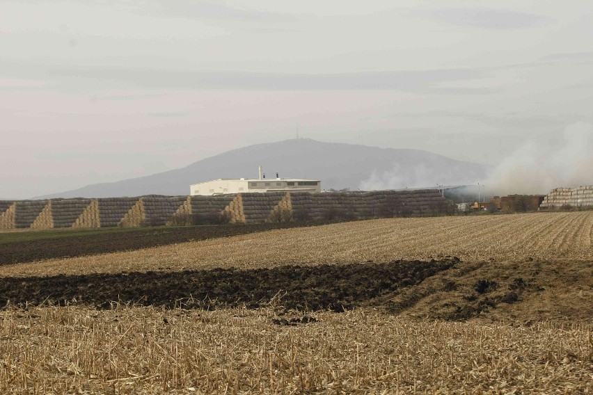 Wielki pożar w Jordanowie Śląskim. 15 zastępów straży walczyło z ogniem (ZDJĘCIA)