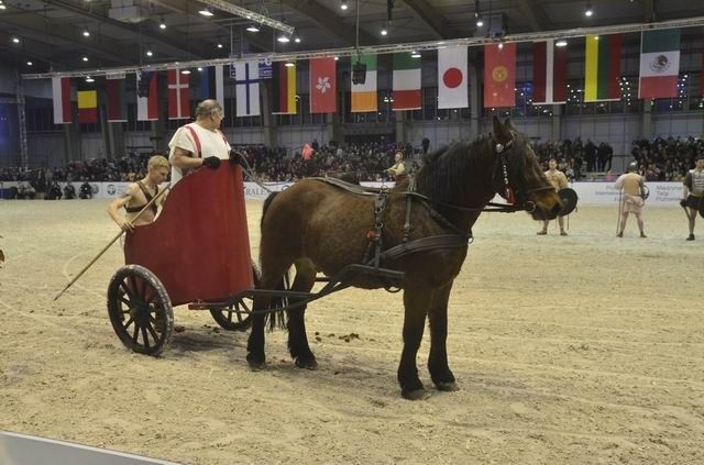 Pokazy rydwanów i rycerzy podczas Cavaliady.