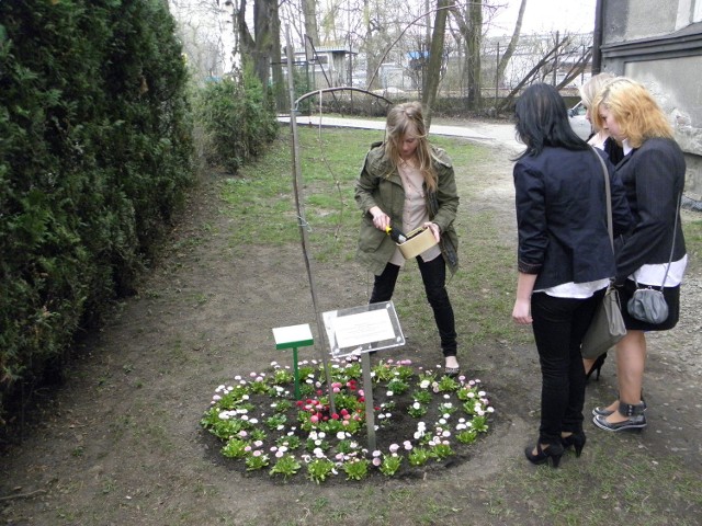 Drzewko Pamięci ku czci zamordowanych żydowskich dzieci w Bielsku