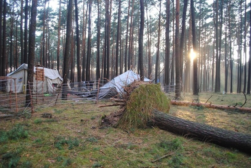 Kataklizm trwał zaledwie kilkadziesiąt sekund. Z ziemi wiatr...