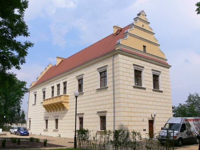 Zamek w Działoszynie