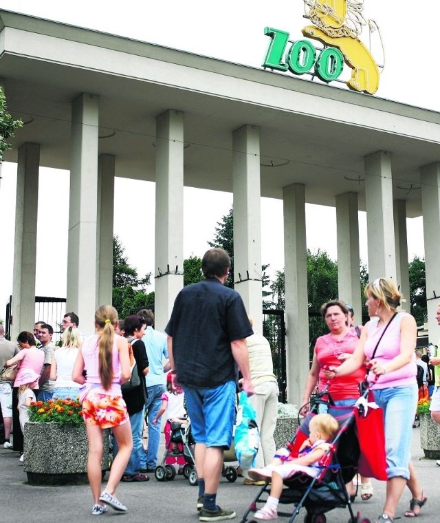 Do wrocławskiego zoo przyjeżdżają tysiące turystów