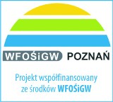 Ryby wędrowne w Wielkopolskich rzekach? Wełna to ostatnia szansa - mówi ekspert  