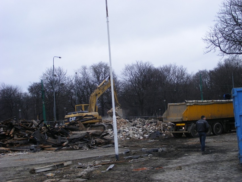 Poznań: Zaczęli porządkować Wolne Tory [ZDJĘCIA]