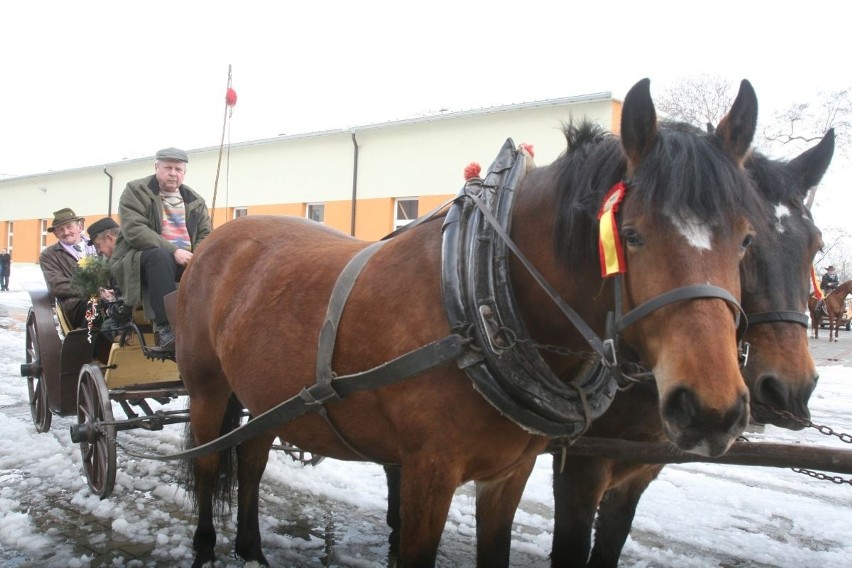 Arcybiskup Wiktor Skworc na procesji konnej w Pietrowicach Wielkich [ZDJĘCIA]