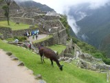 Tajemnice Machu Picchu. Zobacz najnowsze zdjęcia z miasta Inków [GALERIA]
