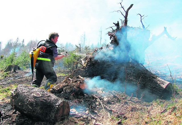 Pożary lasów rozpoczęły się pod koniec kwietnia. Zdaniem leśników za część z nich odpowiada kolej