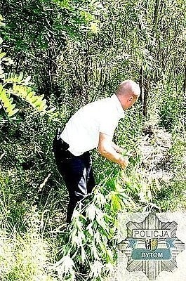 21-latek sadził konopie w Zabrzu-Biskupicach. Wpadł przez zdjęcia w telefonie