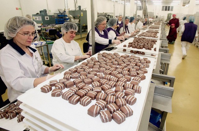 Linia produkcyjna w fabryce czekolady Cadbury w Bielanach Wrocławskich