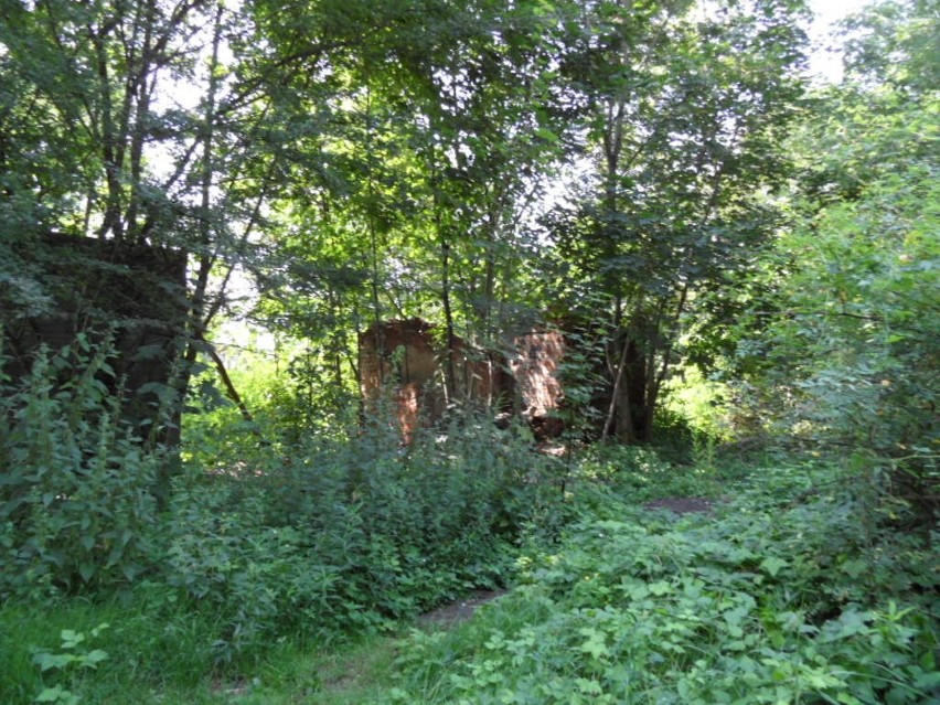 Miasto chce zburzyć ruiny w których znaleziono zwłoki Madzi z Sosnowca [ZDJĘCIA]