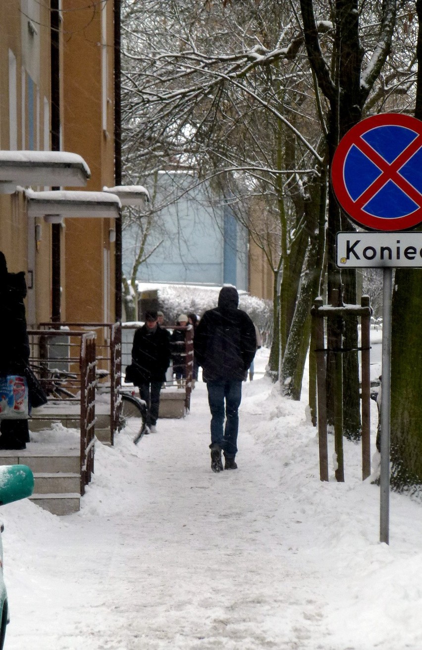 Przez noc Poznań w całości pokrył się śniegiem. A ten...