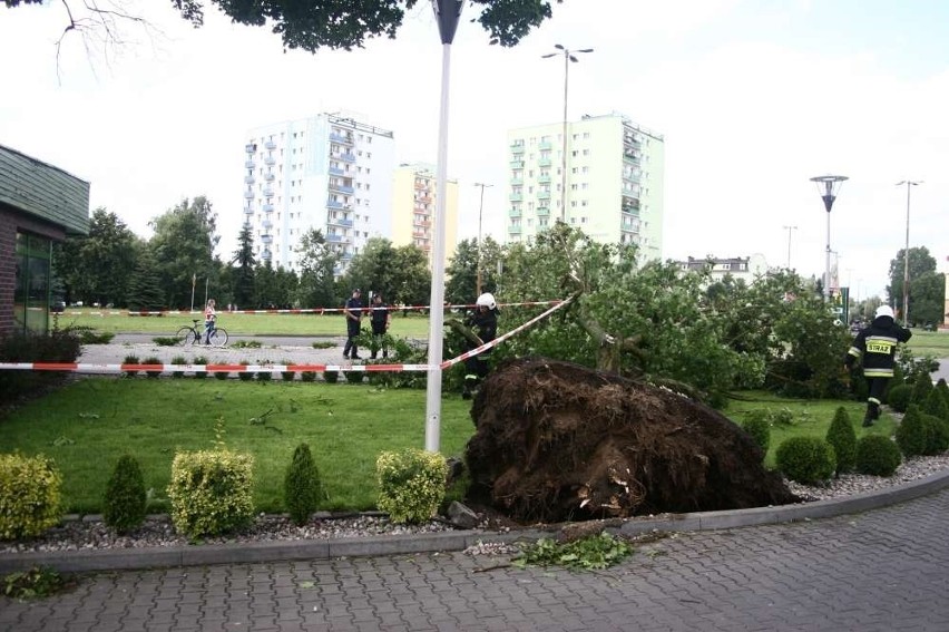 Piła: Trąba powietrzna nad miastem. Wyrywała drzewa z korzeniami! [ZDJĘCIA]