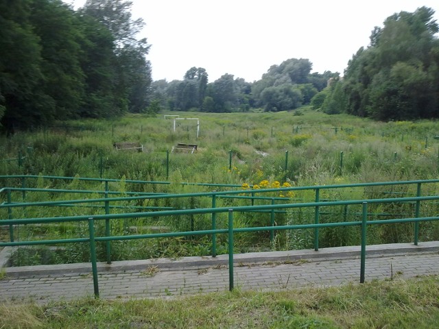 Łódź: psi park popadł w ruinę. Interwencja czytelników