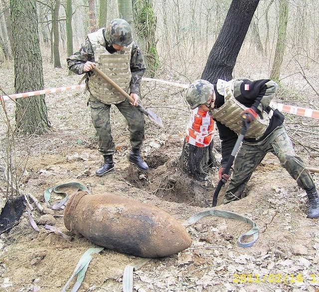 Jednostka saperska wykopała w starogostyńskim lesie bombę ważącą 150 kilogramów