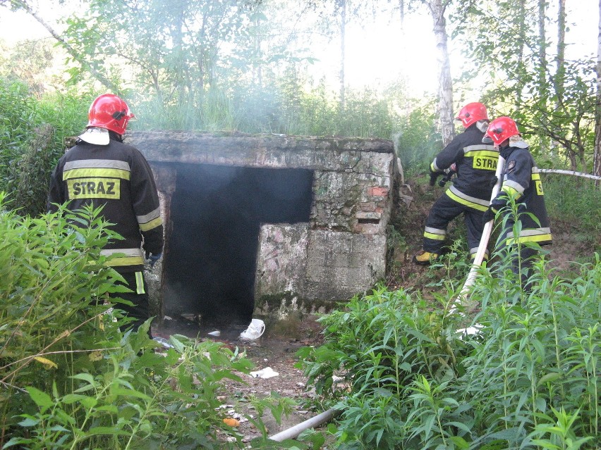 Pożar opuszczonej piwnicy przy ul. Węglinek (ZDJĘCIA)