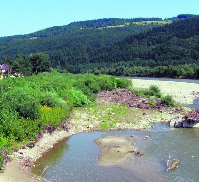 W tym miejscu na lewym brzegu Popradu ma powstać bulwar chroniący przed powodzią
