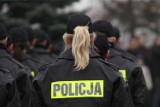 Nawet 200 tysięcy rocznie. Ile naprawdę zarabiają komendanci policji na Dolnym Śląsku?