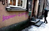 Pijane studentki ASP, które zniszczyły gdańskie zabytki: jest nam bardzo wstyd [OŚWIADCZENIE]