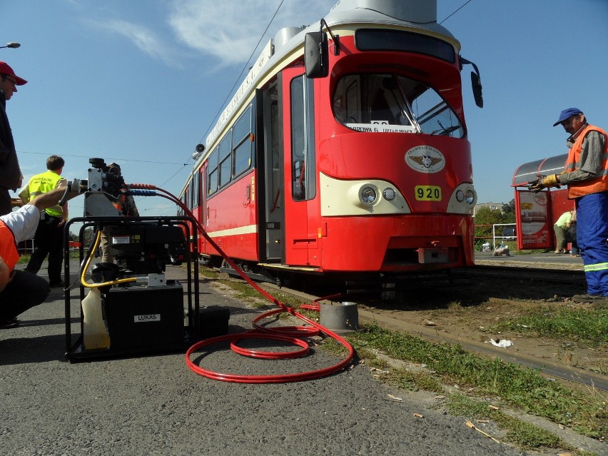 Podnoszenie Sznycla z nerki. Akcja trwa [ZDJĘCIA]