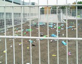 Stadion Cracovii tonie pod śmieciami