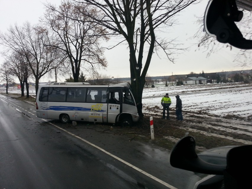 W Strzeszkowicach Dużych bus uderzył w drzewo