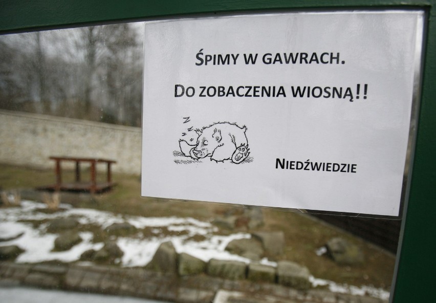 Odwiedzamy chorzowskie zoo [FOTOREPORTAŻ DZ]