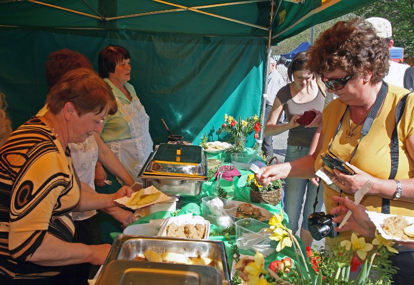 Piknik rodzinny w Rogowie