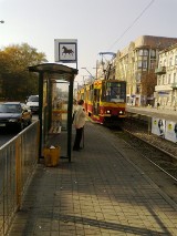 Koń zamiast tramwaju na przystanku MPK