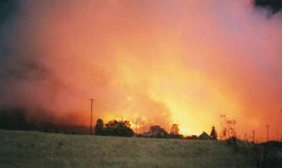 Pożar był tak wielki, że nawet po zmroku, w promieniu kilku...