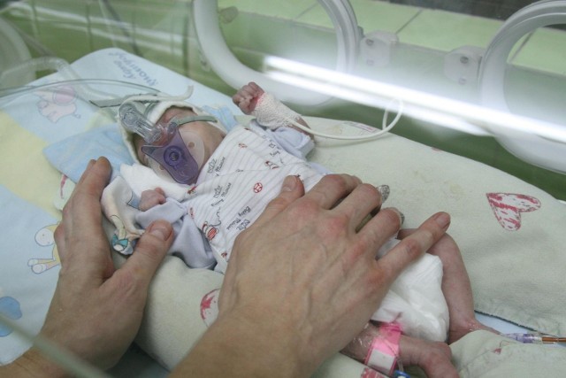 Wcześniaki, kiedy się rodzą, są mniejsze od rękawiczki, ale lekarze pomagają im przeżyć. Potem rodzice wspierają dziecko, by mogło dogonić rówieśników, urodzonych w terminie.