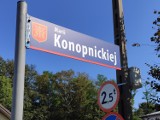 Mieszkańcy ulicy Konopnickiej nie chcą bloków w swoim sąsiedztwie 