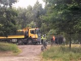 Rusko: Śmiertelny wypadek - zderzenie samochodu osobowego z ciężarówką
