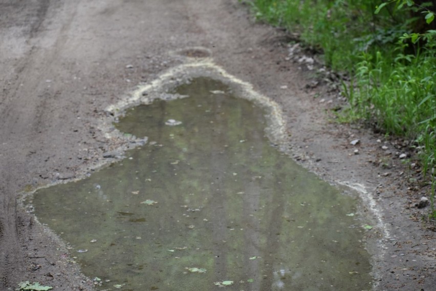 Odpowiedzialna jest pogoda, słaby wiatr i sucha aura...