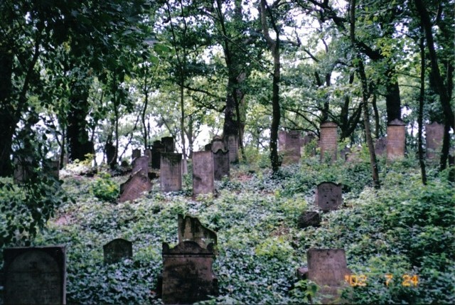 Cmentarz żydowski w Skwierzynie