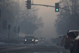 Smog-Szok w Rybniku: Zbadali mocz dzieci z Rybnika 