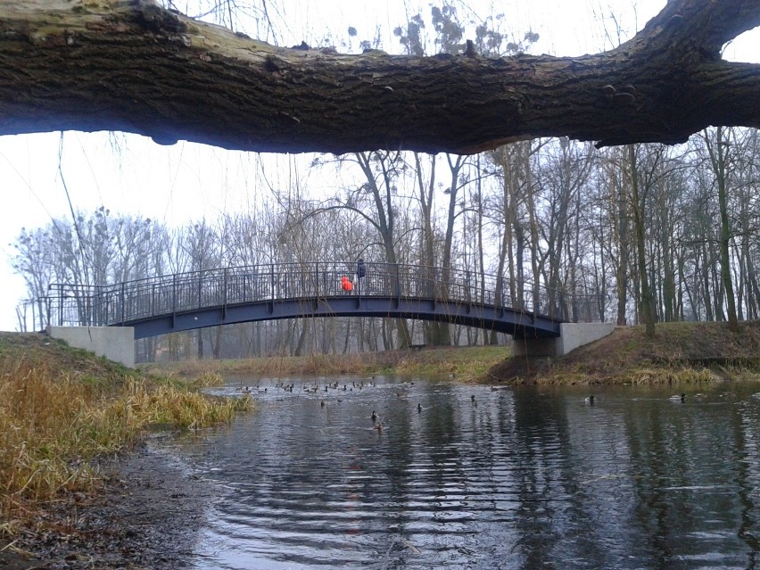 Stary i nowy mostek w Parku Miejskim na Bydgoskim Przedmieściu w Toruniu