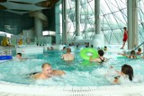 Powiat bełchatowski: Solpark świętuje rok, atrakcje czekają w Kleszczowie