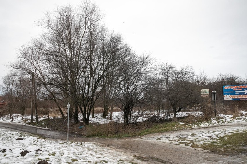 Rejon ulicy Bohomolca, Kniaźnina i Krzesławickiej