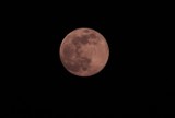 [ZDJĘCIA] "Różowy księżyc" to tylko nazwa, ale i tak widok był imponujący. Zobacz, co można było zaobserwować nad Rzeszowem