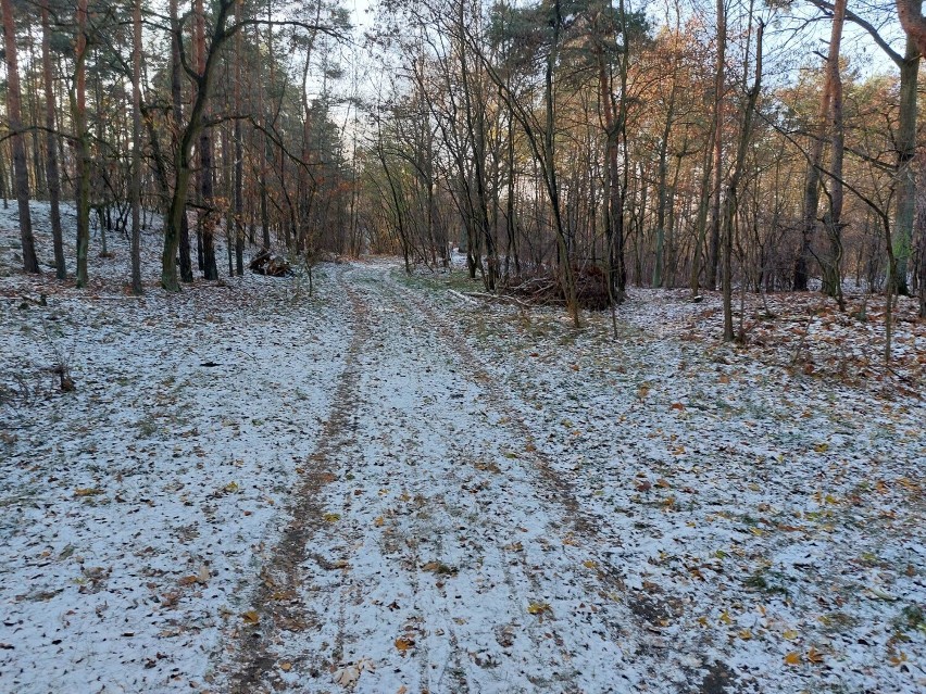 Ulica Kibiców w Warszawie. Raczej nie rzuca się w oczy. Może kiedyś stanie tam stadion?