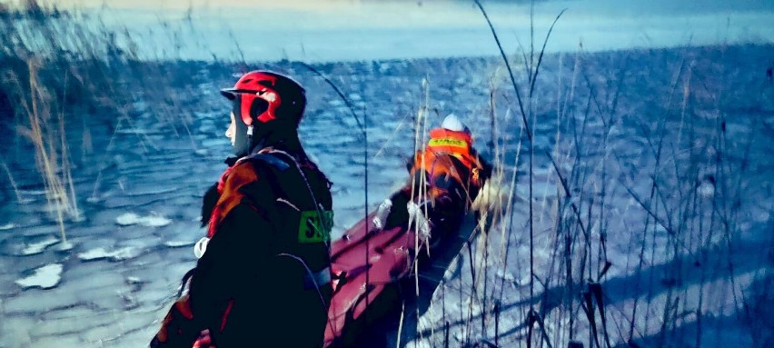 Na ratunek łabędziom! Świetna akcja Powiatowej Straży Pożarnej w Starogardzie Gdańskim