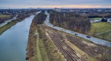 Mały las w Warszawie? Na Białołęce przybędzie 42 tysiące nowych drzew. Trwa akcja zalesiania