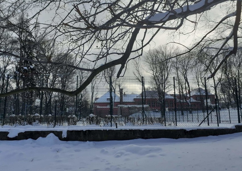 Wałbrzych: Park w Sobięcinie w zimowej szacie. Zobaczcie