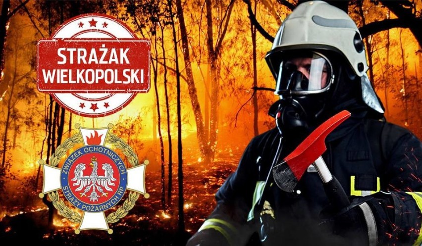 Strażak Wielkopolski, OSP i MDP  2019 - ZOBACZ nominowanych z powiatu nowotomyskiego! [FOTO]