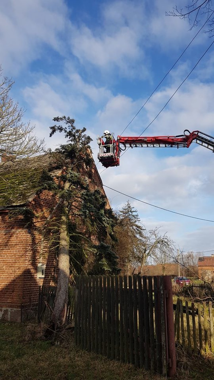Strażacy usuwali drzewo, które przechyliło się na budynek mieszkalny