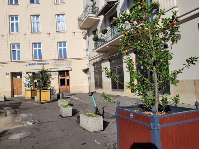 Zarząd Zieleni Miejskiej informuje, że donice z drzewami na terenie Krakowa,  m.in. na placu Nowym przechodzą metamorfozę. Do każdej donicy dosypywany jest wolnodziałający, organiczno-mineralny środek.
