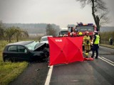 Śmiertelny wypadek na drodze krajowej nr 10 w Okalińcu