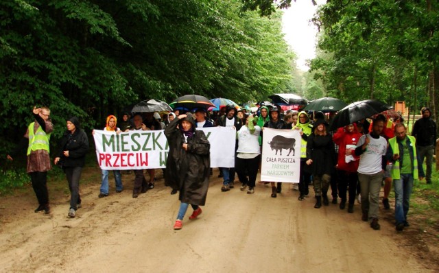 Około 700 osób z całej Polski wzięło udział w niedzielnym proteście przeciw wycince drzew w Puszczy Białowieskiej. Wśród protestujących byli m.in. radni z Międzyrzecza Andrzej Chmielewski i Robert Krzych.