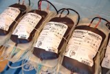 Grudniowa akcja krwiodawstwa w Pińczowie. Będą upominki dla biorących udział 